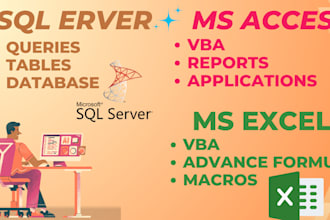 create custom ms excel and access solutions with vba, macros, and sql