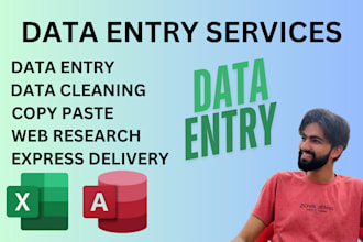 do any type of data entry in excel and access
