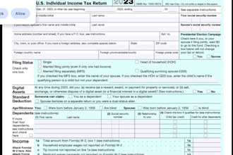prepare form 1040 for you to file US individual income tax return