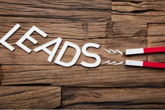 do b2b lead generation, linkedin lead generation and build a prospect email list