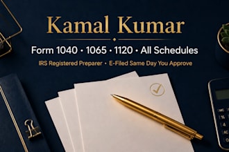 prepare and e file your complete US tax return form 1040, 1065, or 1120