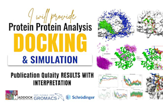 help you in protein peptide, dna docking and md simulation
