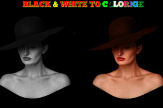 professionally colorize black and white photos, color change