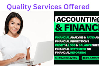 do accounting,finance,bookkeeping,audit,financial statements in gaap,projections
