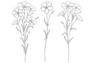 drawn a highly detailed line art botanical illustration