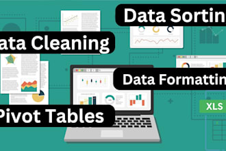 create a professional excel chart, dashboards, graphs and pivot tables