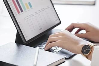 do comprehensive due diligence, merger and acquisition and business valuation
