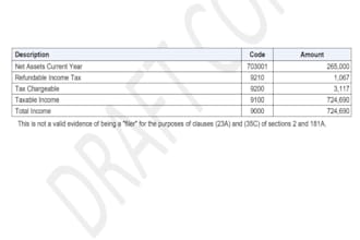 document, categorize, compile, evaluate, report, and interpret financial data