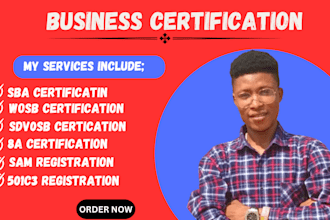 be your business plan writer, sba business plan, startups, business plan