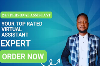 be your virtual assistant for data entry and administrative tasks