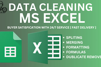 do excel data cleaning, formulas, formatting data split