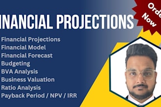 prepare budget financial model projection and forecasting