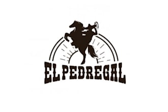 make memorable professional horse logo design