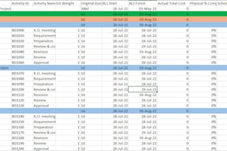 formulate project planning package using primavera p6
