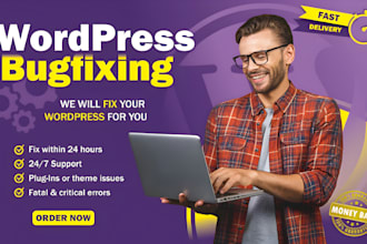 fix wordpress errors, bugs, critical issues, and customize your website