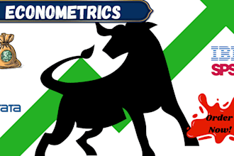do projects on econometrics using stata and spss, jupyter notebook