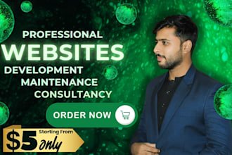 provide professional website development, design, maintenance, and consultancy