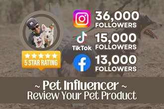 review pet products as a social media influencer, dogs, cats
