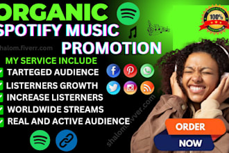 do organic spotify music promotion and spotify ads campaign, music promotion