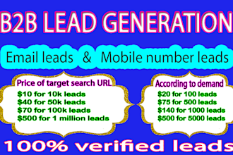 do b2b lead generation,  export from targeted search URL