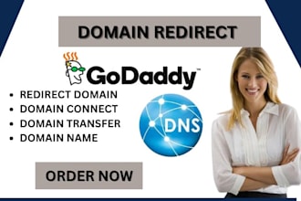 redirect domain to shopify godaddy to website transfer domain connect domain dns
