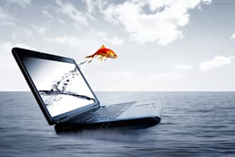 screenplay writing and copy writing and content writing