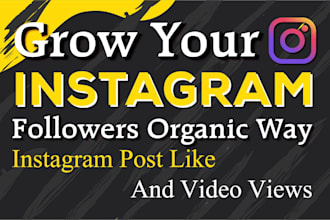 do promote, manage and grow your instagram page organically