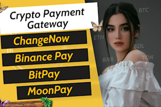 integrate website with fiat crypto payment gateway changenow bitpay binance pay
