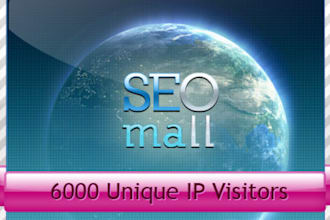 send 6000 Unique IP Visitors to your site just