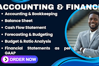 prepare accurate financial statements, profit and loss, and balance sheets