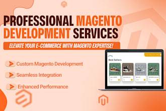deliver expert magento development services