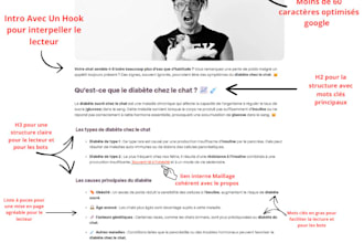 write unique and engaging SEO articles in french