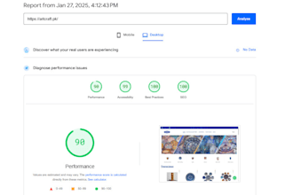 perform technical SEO audits and fix website issues