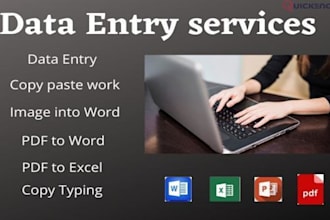 do fast data entry and convert PDF to excel