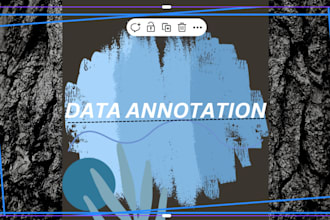 help you in data annotation