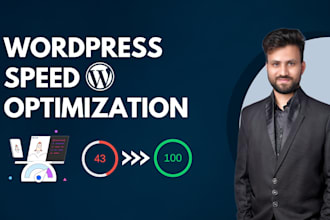 do wordpress speed optimization