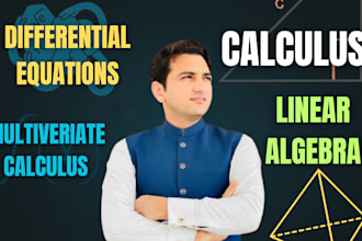 help in precalculus, calculus 1 2 3, linear algebra, differential equation tasks