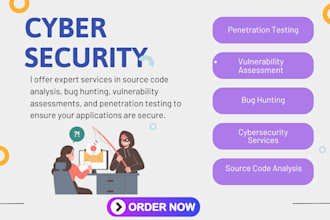 expert source code analysis, bug hunting and penetration testing services