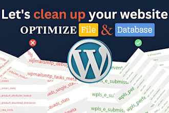 clean up and optimize your wordpress database and file