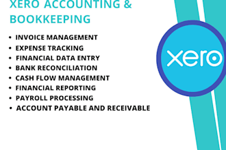 provide expert xero bookkeeping services for your business