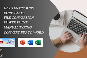 convert pdf to word, data entry, copy paste