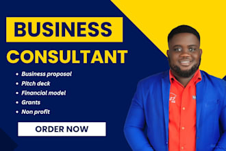 write comprehensive business plan, proposal for startups