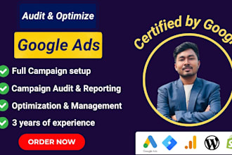 deeply audit google PPC ads campaign, make strategy and optimize search ads