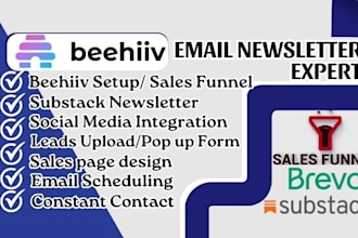 do beehiiv setup, beehive, email templates, landing pages, substack newsletter