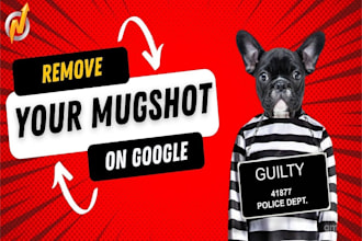 remove court case, mugshot, bad backlink and unwanted personal info on google