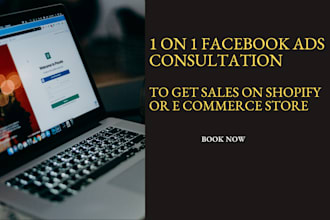 be meta facebook ads consultant for fashion beauty shopify website