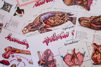 draw human and veterinary anatomy