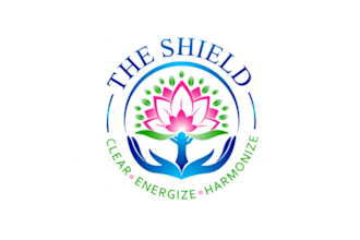 make amazing spotless fantasy shield logo design