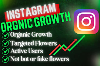 do instagram marketing, promotion and organic growth