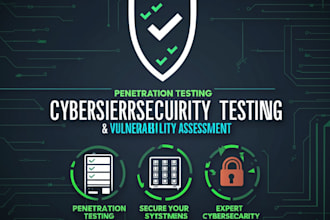 do advanced pen test, vulnerability assessment, and network scan with a report